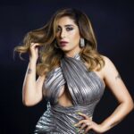 Neha Bhasin Age Boyfriend Husband Family Biography